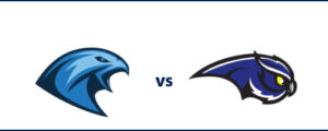 Tychy Falcons - Bielawa Owls